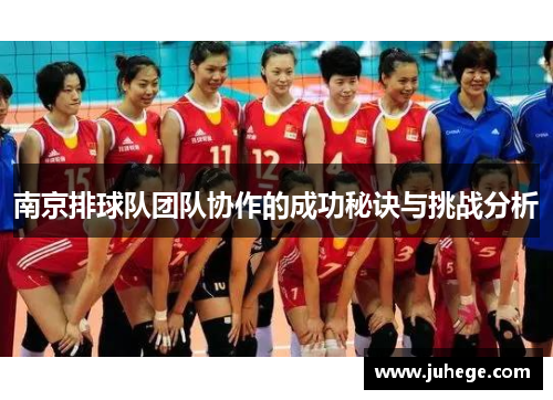 南京排球队团队协作的成功秘诀与挑战分析